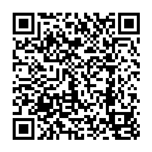 毕竟杨戬对于神界的了解绝大多数都是从血无痕的记忆之中了解的二维码生成