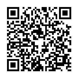 毕竟许紫烟不是通过杀死他们隐世家族修士得到的玉简二维码生成