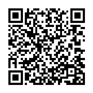 毕竟诗书世家的礼仪教养和矜持清高是融在骨子里的二维码生成