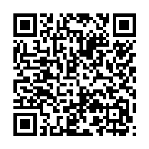 民众必定会对国家法规产生反弹――中国必须禁止b超二维码生成