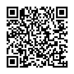沈喜臻本以为他们会留在这里聊然后让她离开大厅的呢二维码生成