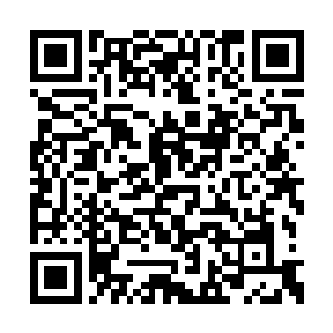 没什么特别重要的事情高冠是不会打扰他修炼的二维码生成