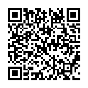 没必要把这颗珍贵的果实留到十多年后才发挥作用二维码生成