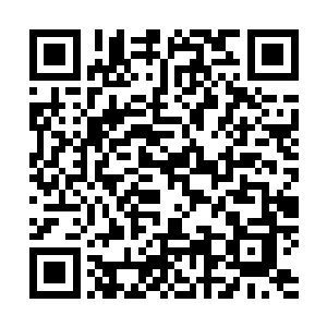 没想到天翼神虎给他们的那些宝珠竟然还有如此强大的功效二维码生成