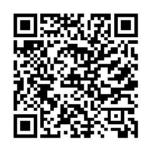 没想到如今居然会落得被一世俗界普通小子狂揍的地步二维码生成