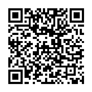 没想到绝情师太一下从大成境界跨越到飞升境界了二维码生成