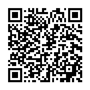 没想到这些越南人盗华夏谚语盗得倒是有模有样二维码生成