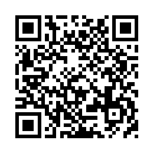 没有任何人可以把那颗小树上的果实摘下来二维码生成