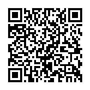 没有哪一个实力非凡的强者能够忍受被自己弱小的存在而挑战二维码生成