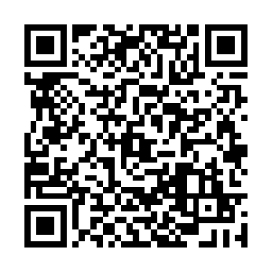 没有绝对的强与弱……迷信一部机器所作出的判断二维码生成