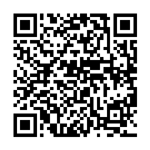 沸沸扬扬的议论声点缀着今年充满无数看点的暑期档二维码生成
