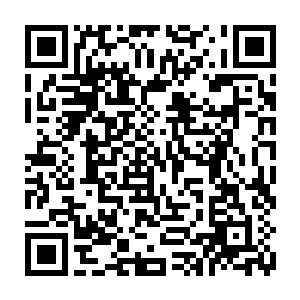 波塞希发出了一声巨吼的……同时那个巨大的水球几乎在一瞬间就彻底的崩碎了二维码生成