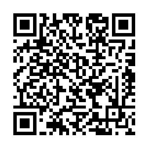 流墨墨他们和蛟龙侍女沟通得到了许多想知道的答案二维码生成