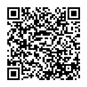 流墨墨狠狠的咬下一口面前雪如楼端着给她的某种仙兽被红烧了的翅膀二维码生成