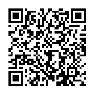 流墨墨看了看修真文录然后取出那几把在手镯里的灵器二维码生成