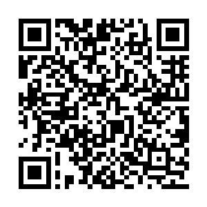 海中的巨兽似乎察觉到悬崖之上有很多人在活动二维码生成