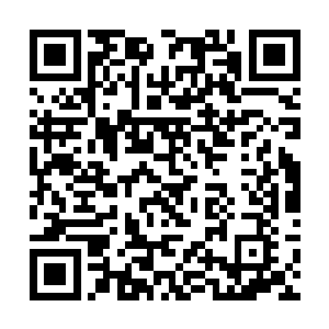 海族或海兽到底是死在哪个战队手里的这种混乱情况二维码生成