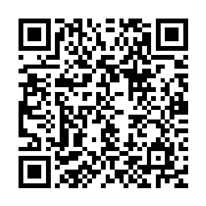 海神殿殿主和贵族大帝没有把握对付我们天灵殿和蛟神殿的联手二维码生成