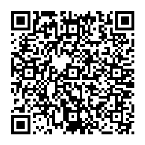 深海之中唯独剩下那一只猴子使出了所有力量死死地怀抱着擎天巨柱孤孤单单地站着二维码生成