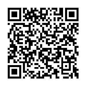 清虚门和流云宗的几人视线越过了张涛和赵长风二维码生成