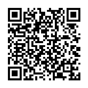 溶洞外传来的这一声咆哮似乎含着几分微微的痛苦二维码生成