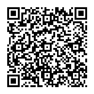 潘老太也突然莫名的感觉自己从刚才开玩笑任由面前小张医生胡闹变成了一个病人二维码生成