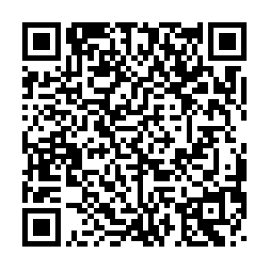 灵猫儿原本就溜圆的琥珀猫眼在这一刻竟是爆出前所未有的晶亮光芒二维码生成