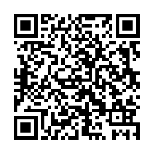 然后他左肩的伤口立刻提醒了他现在不适合做这个动作二维码生成