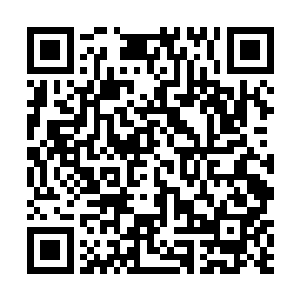 然后吐在手心上敷到那几只伤口不算很深的狼的伤口上二维码生成