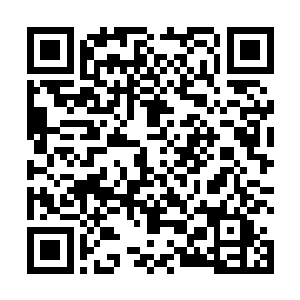 然后在城堡里发生了一场震惊了水蓝水母世界观的战斗二维码生成
