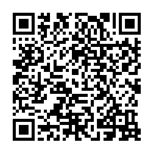 然后就直接以一个优美的抛物线幅度朝着欧勇所在的裁判位置狠狠地砸了下去二维码生成
