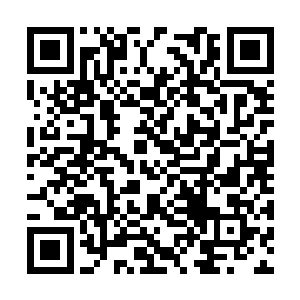 然而几十个人牵连在一起在罡风中产生的阻力太大二维码生成