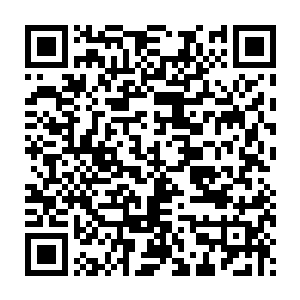 狂风携着冰冷刺骨的寒流席卷了这片被无极孤峰挡住了帝阳的九娥指壁二维码生成