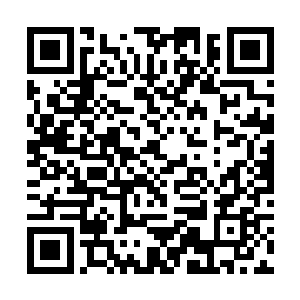 独孤傲则和一名同样是人魔混血的武者战斗在了一起二维码生成