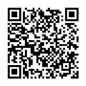 猴子与黑熊精一起将金箍棒插在水中细细地观察着二维码生成