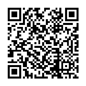 玄武是太古神兽一脉之中号称防御无敌的一个种族二维码生成