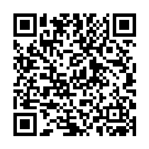 王万凯拿起自己办公室里面的笔就开始一份一份的看二维码生成