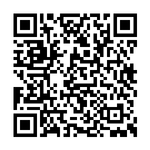 王爷让人将任琦宁的妻子和嫡子嫡女全数给杀了二维码生成