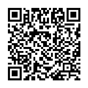 王载之所以能如此迅速从阿难破戒刀法的侵袭中恢复二维码生成