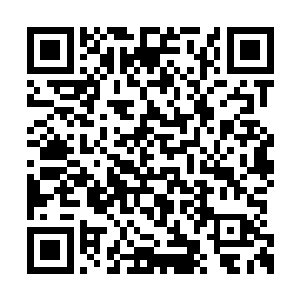 现在他的对手是号称大荒第一山门锻金山的弟子二维码生成