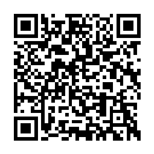 现在却让大臣们在开朝前两刻钟内将折子递上去二维码生成
