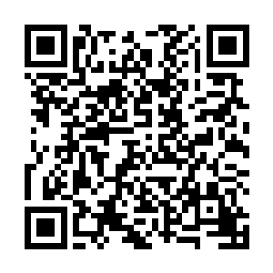 现在又将原本属于西方佛界的孙悟空和猪八戒收编麾下二维码生成