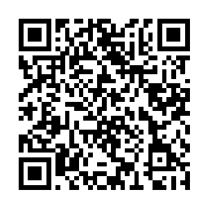 现在只好麻烦王参议帮我把这份奏折带到通政使司了二维码生成