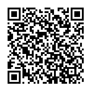 现在唯一可以聊作安慰的就是柴斌斌刚才的演唱分数已经出来了――9二维码生成