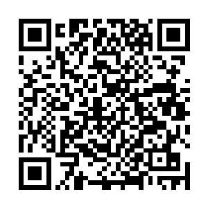 现在已经没有时间去想他们为什么会有元力这个问题了二维码生成