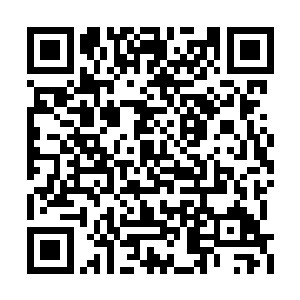 现在我是在问你们……怎么样才能陈博士抓回来二维码生成