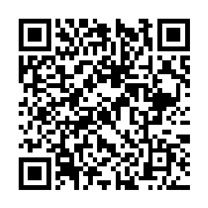 现在摆明着就是雨果和桑德拉否认了这一次的绯闻二维码生成