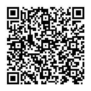 现在正在附近嬉戏玩耍的就只有皮球还有捣蛋鬼了不过捣蛋鬼都是以一家人出现的二维码生成