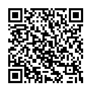 现在的他每次被击中都会有那种刺骨的疼痛感觉二维码生成