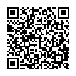 现在的苏凡距离卡拉布里亚海滨已经不足一个小时的车程了二维码生成